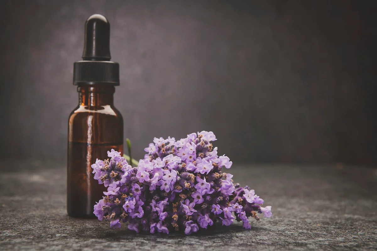 A bottle of lavender essential oil with fresh lavender twigs