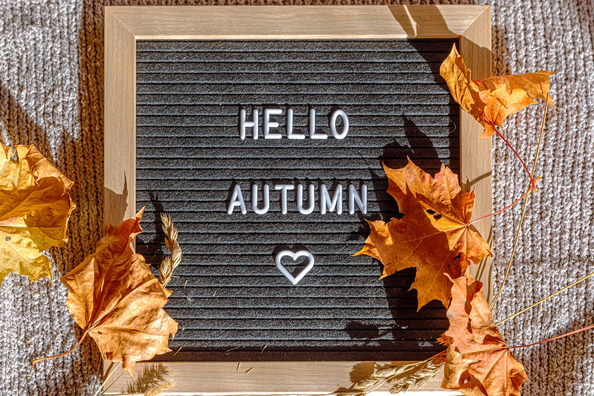 Black letter board with autumn text