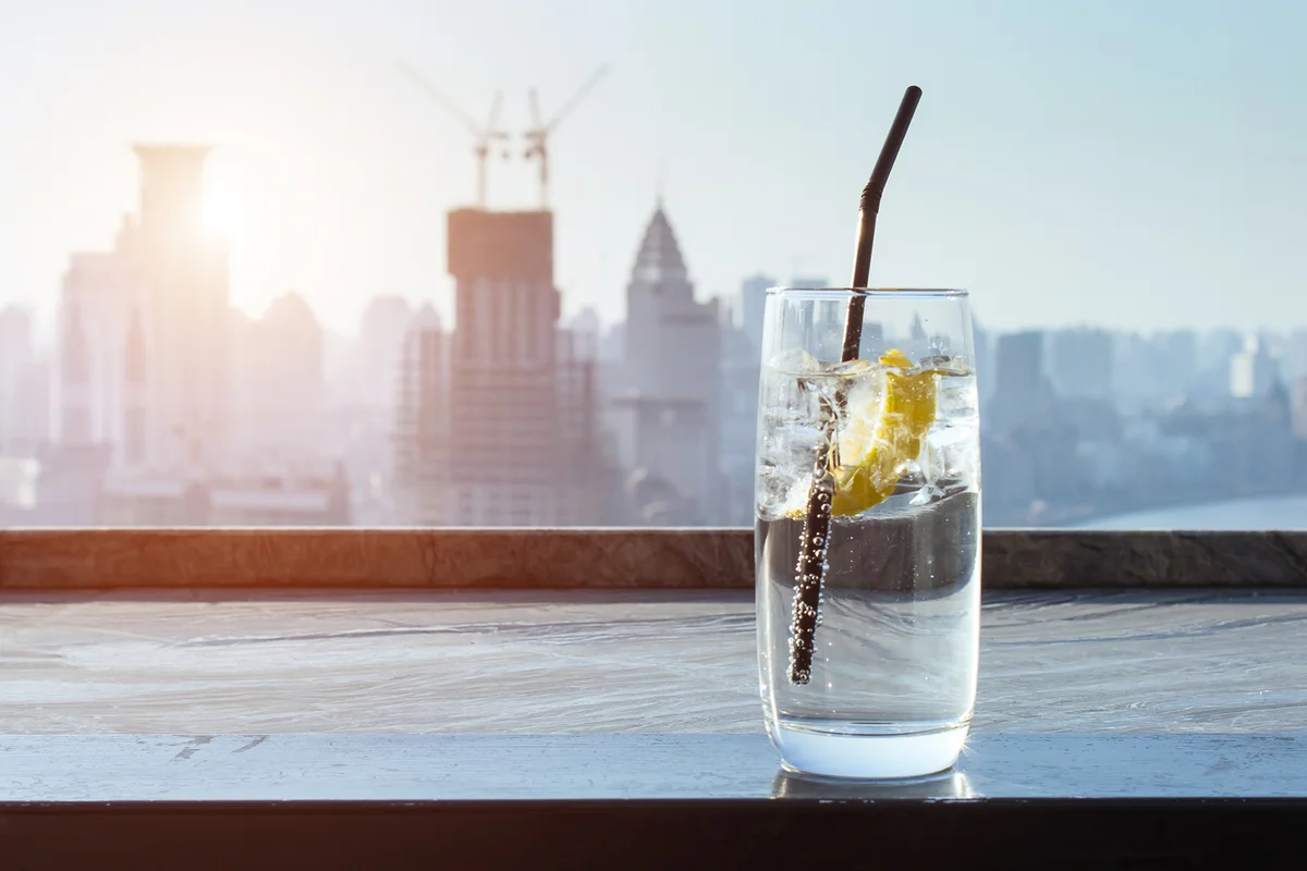 Gin Fizz Cocktail recipes