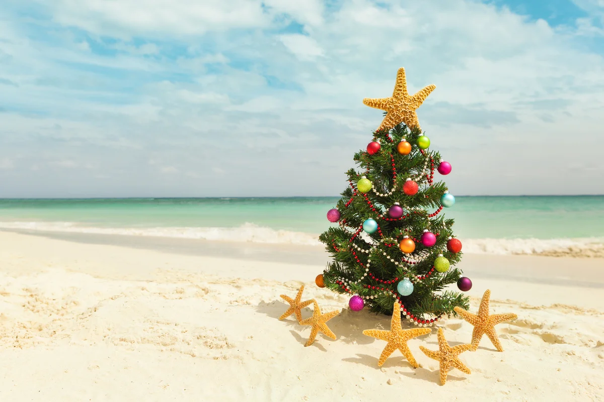 Christmas tree on sandy beach