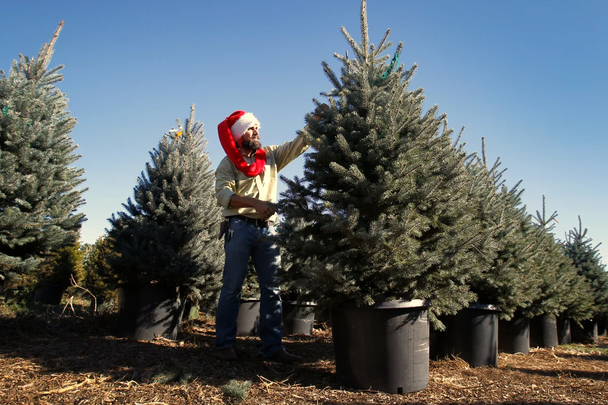 Scotty "Scotty Claus" Martin, founder of The Living Christmas Company - Getty Editorial Use