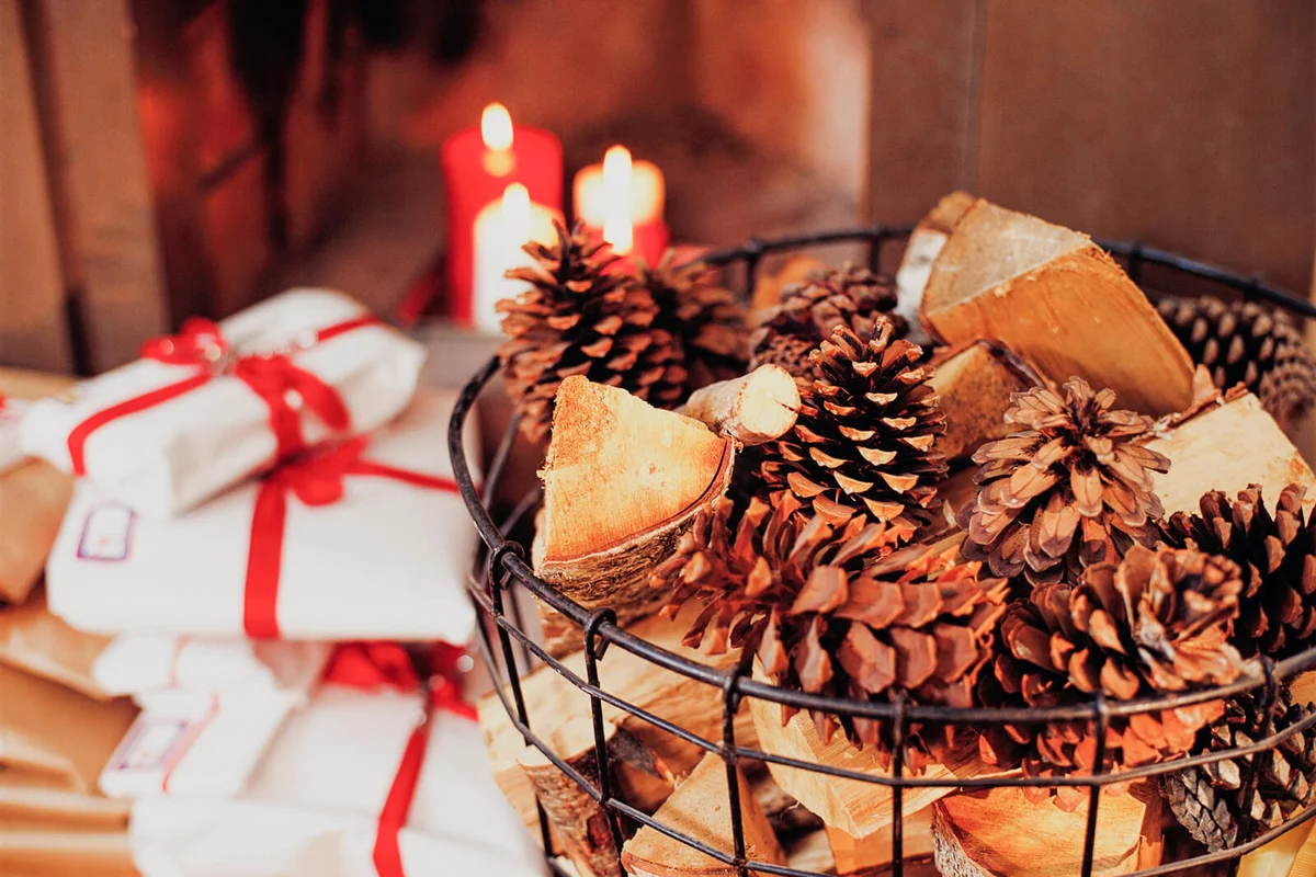 Firewood and cones in a basket