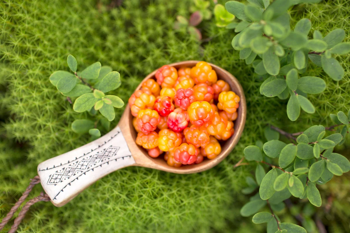 Cloudberries in ladle