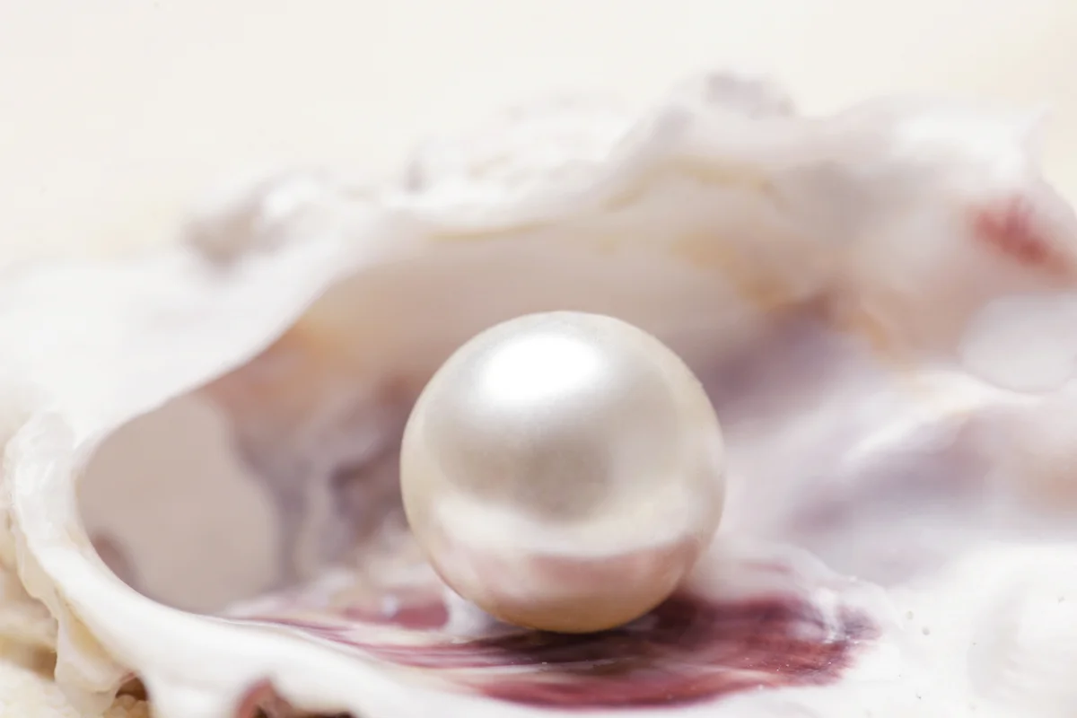 Organic pearl in a shell