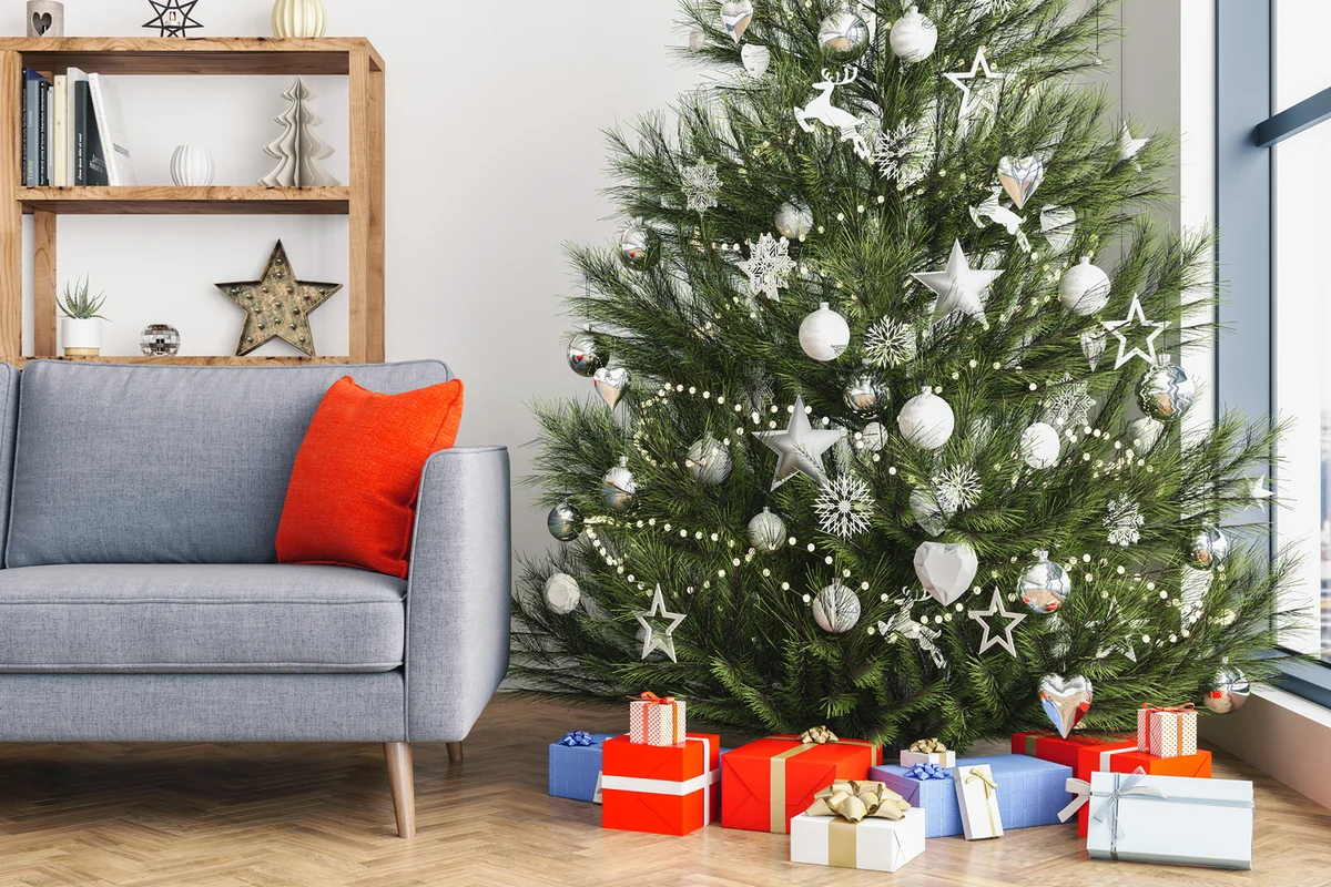 Christmas tree in interior