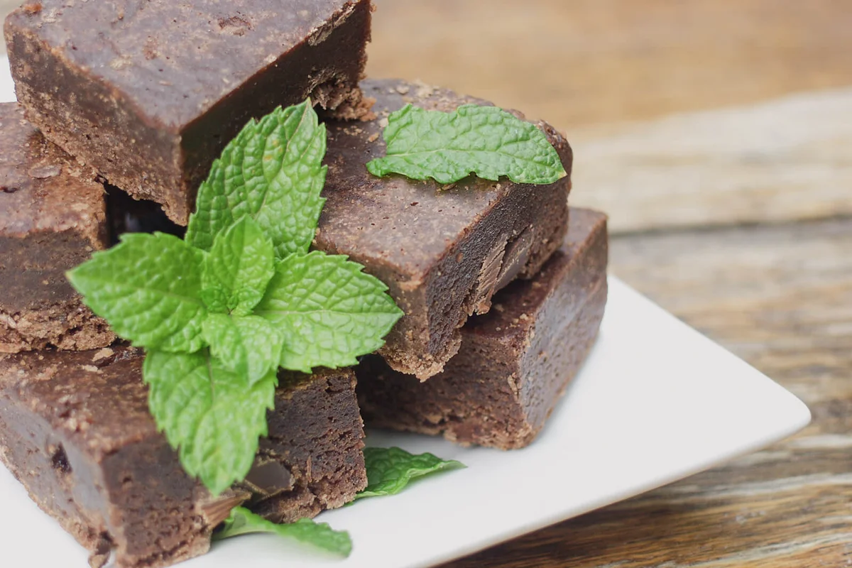 choc mint fudge slice