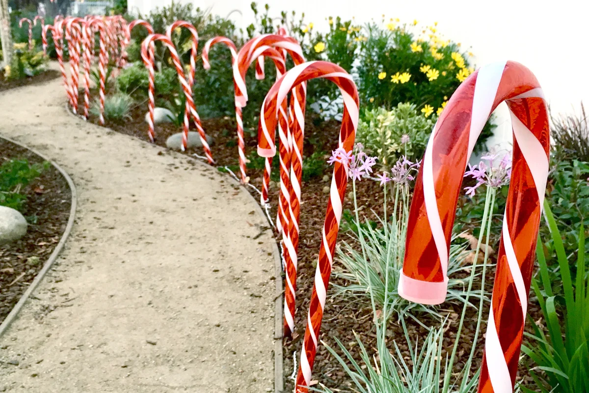 Candy Cane Lined Walkway