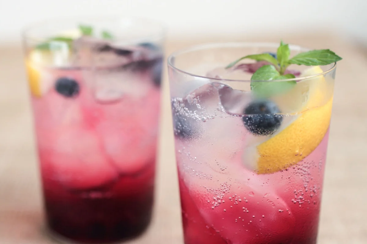 Glass of soda with blueberry and lemon