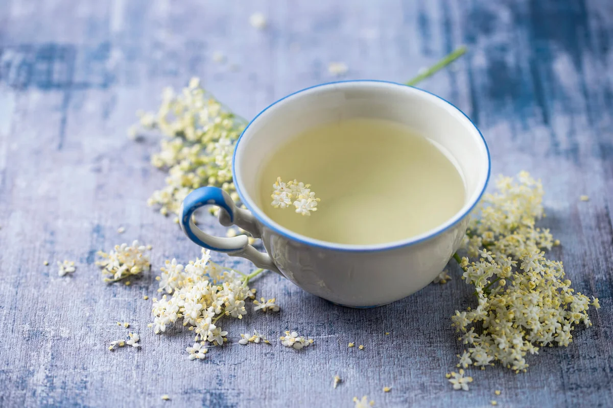 Cup of Elder Flower Tea