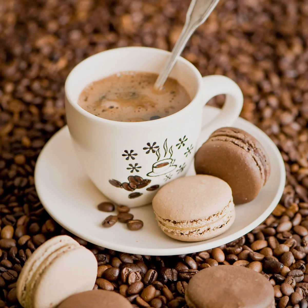 Coffee and chocolate & caramel macaroons