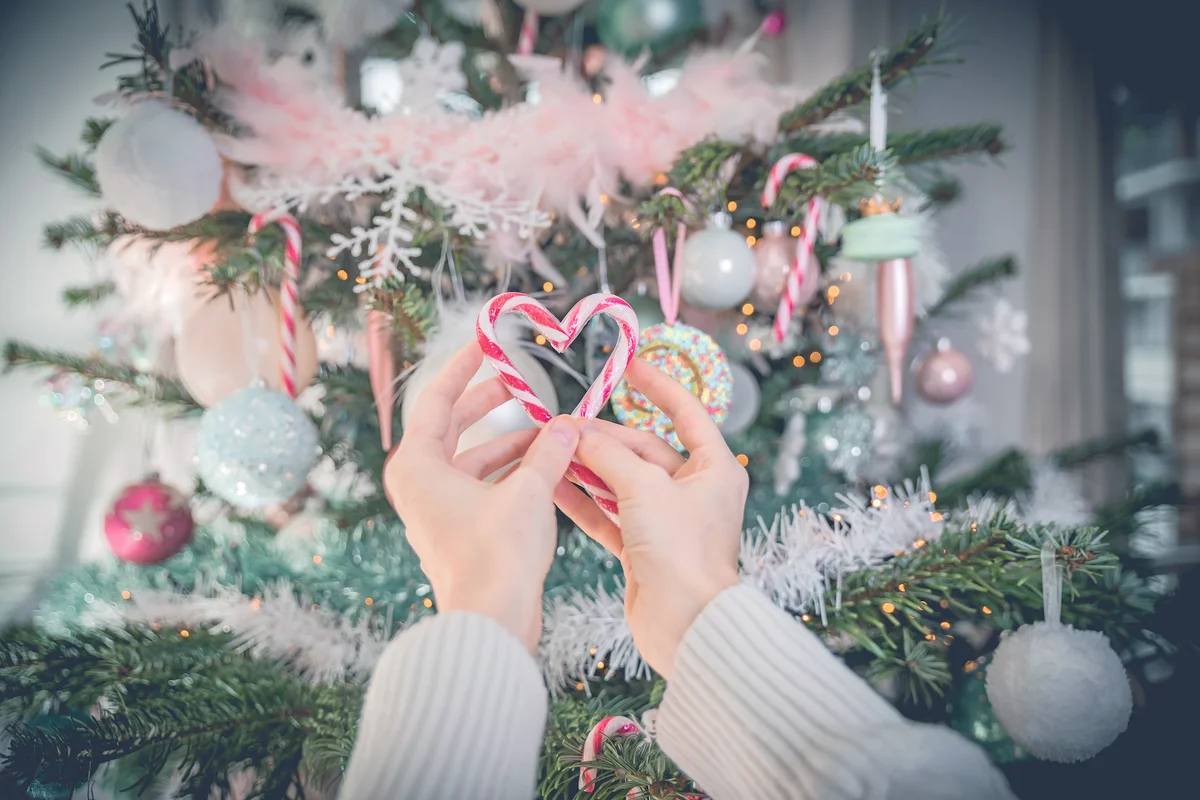 Heart Shape Of Candy Canes By Christmas Tree