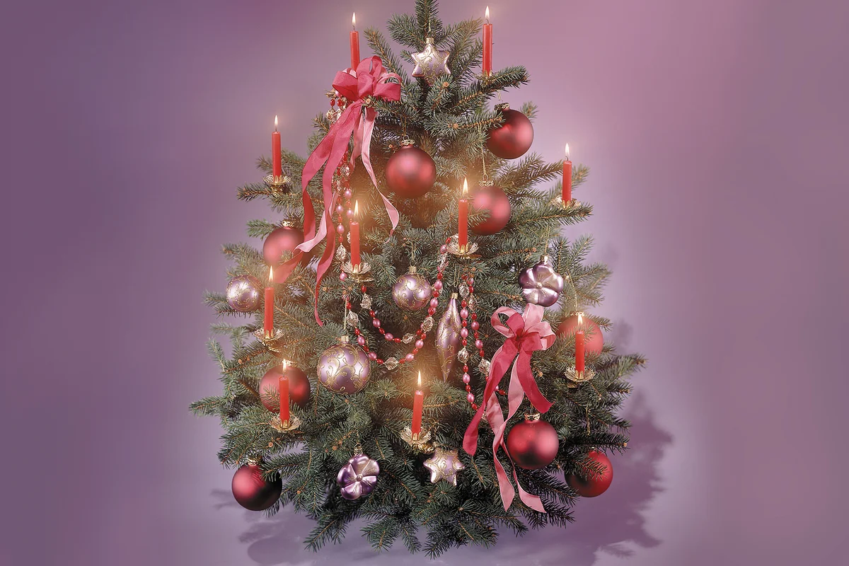 Illuminated Christmas Tree