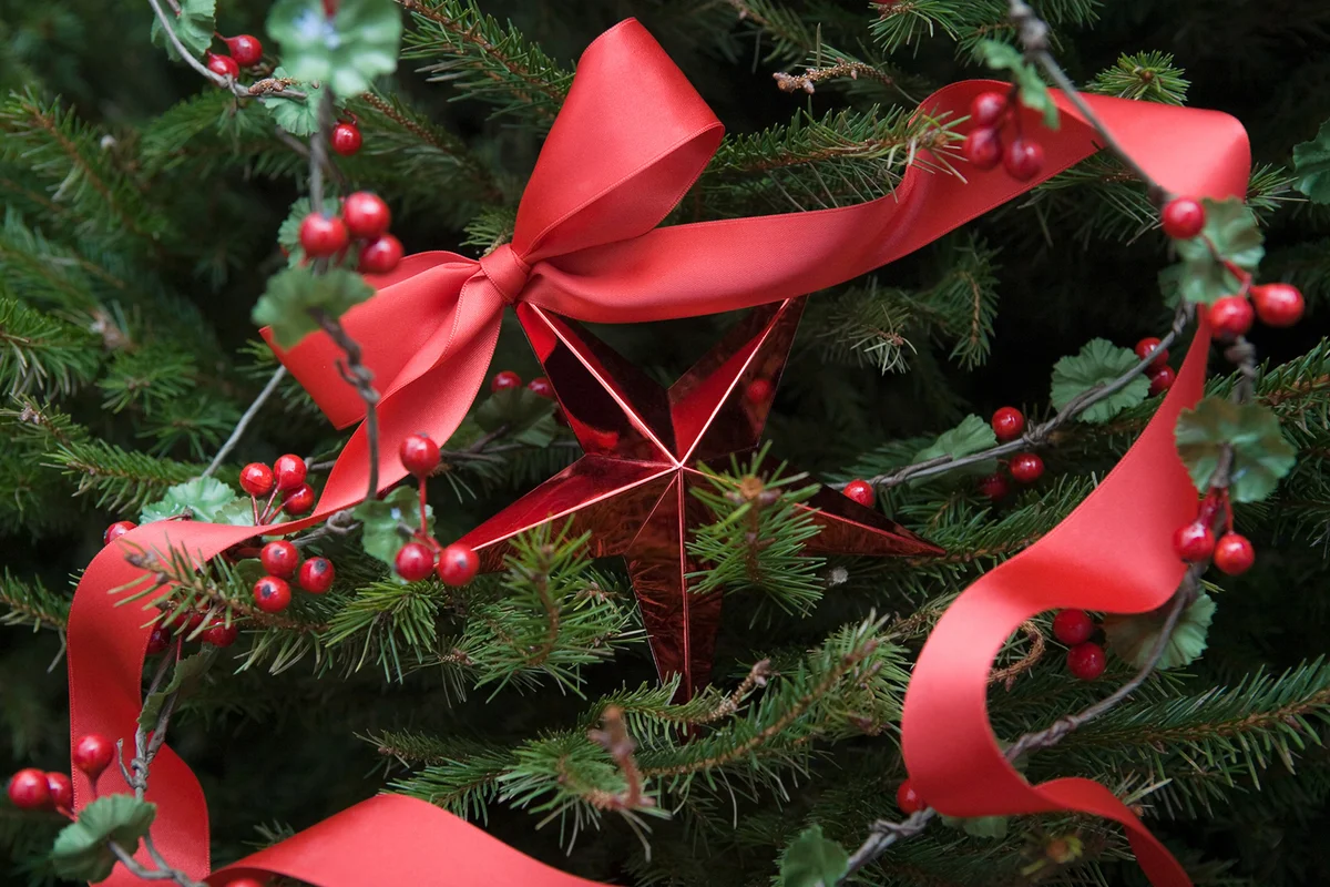 Christmas decorations on a tree