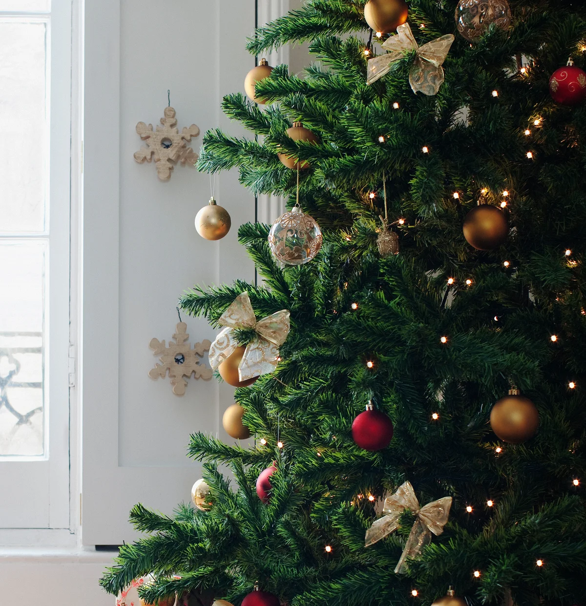 Christmas tree near window