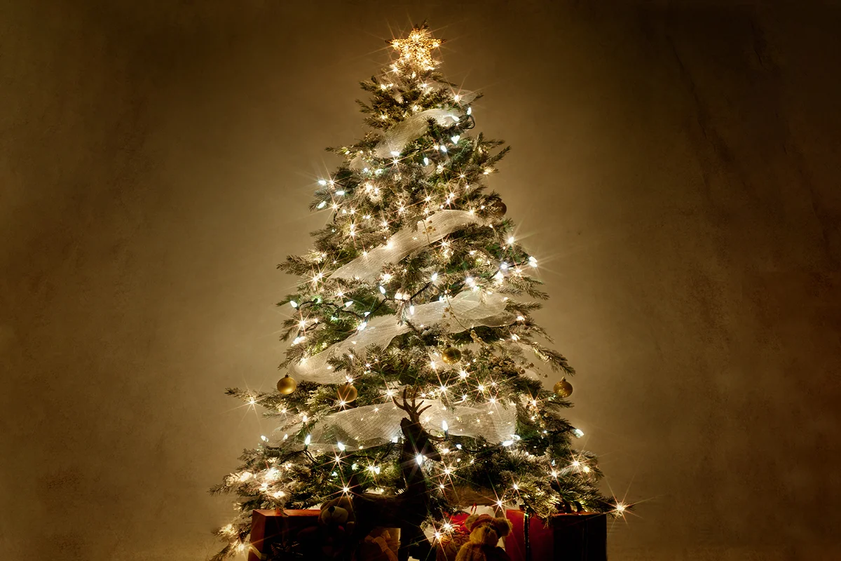 Illuminated Christmas tree at night