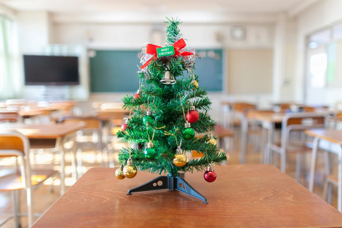 Christmas Tree In Classroom