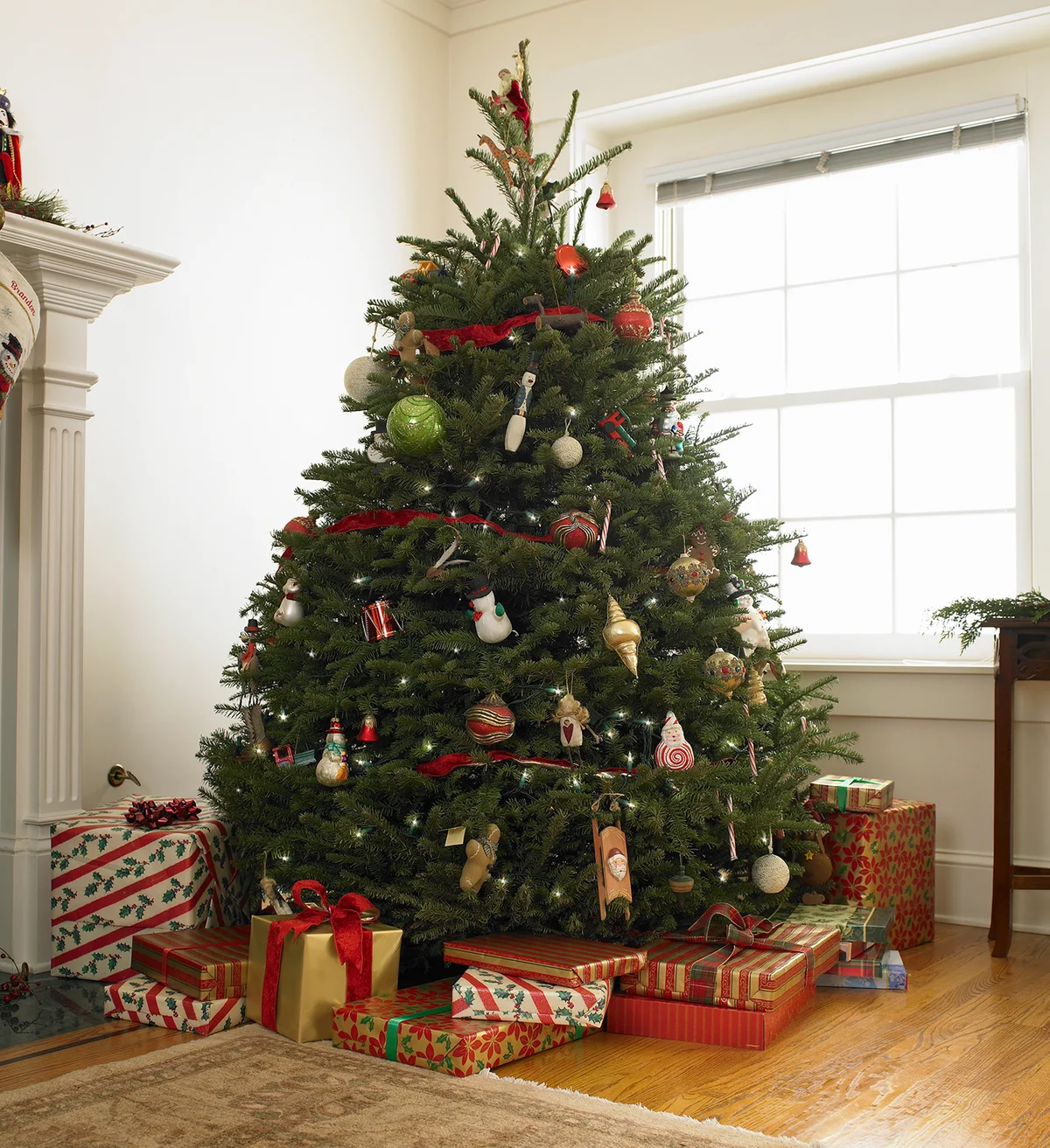 Christmas tree in living room