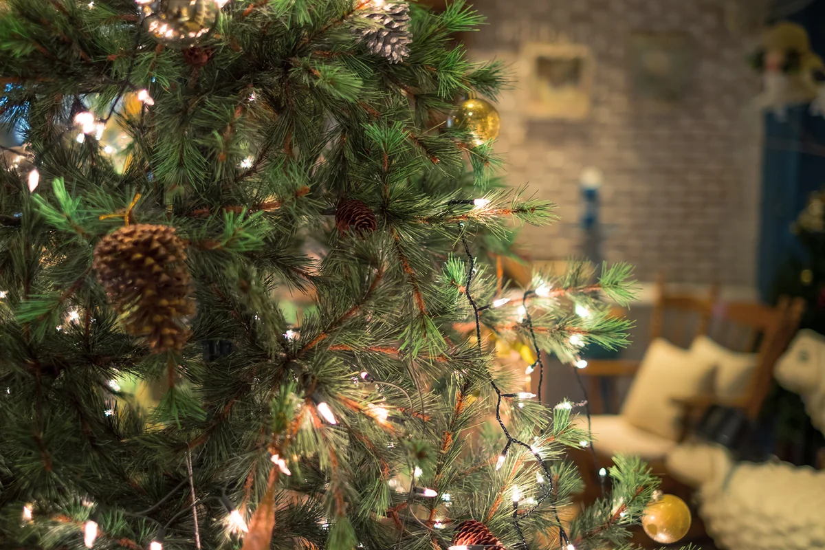 Illuminated Christmas Tree