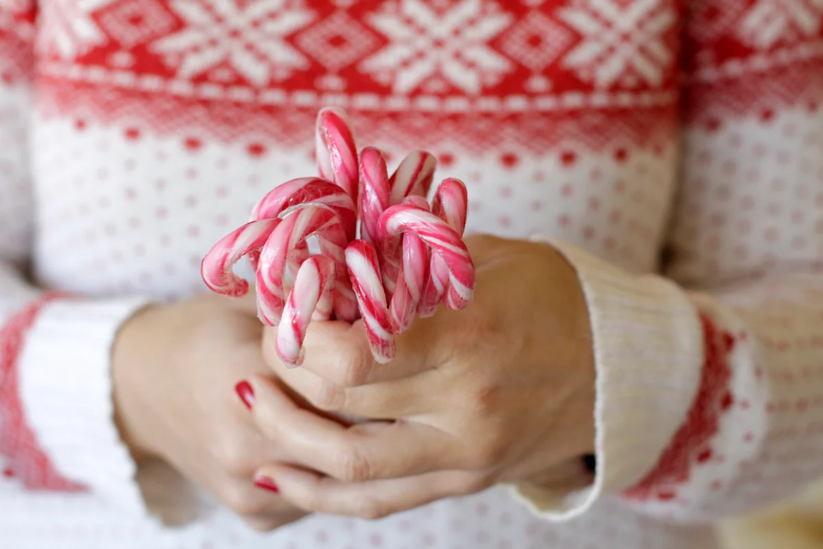 Woman hands holding candy canes