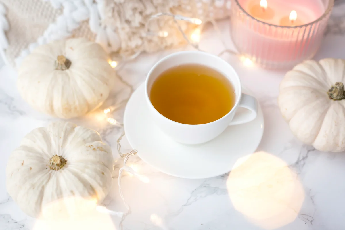 Pumpkin hot tody