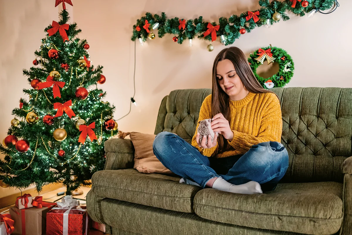 Woman and her hedgehog at Christmas