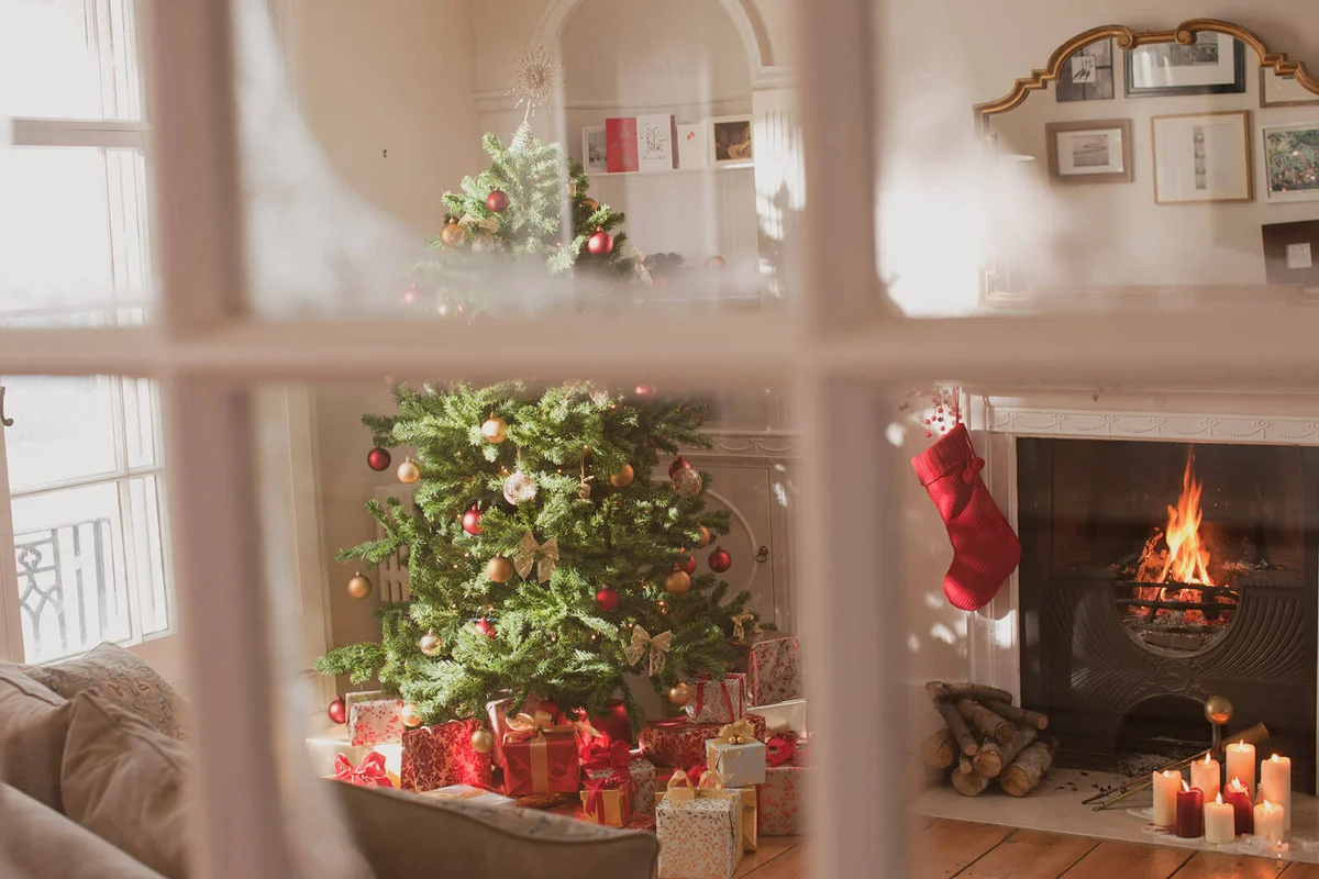 Christmas tree in living room behind window