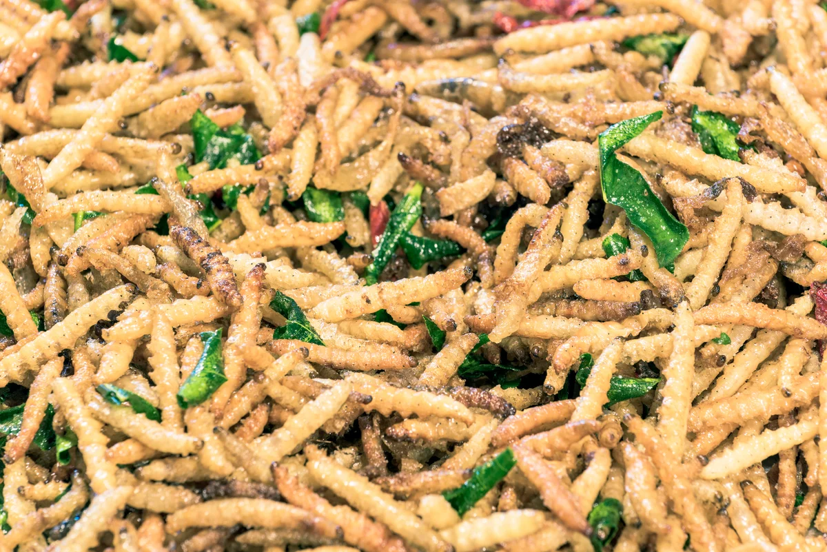Fried larvas in a night market