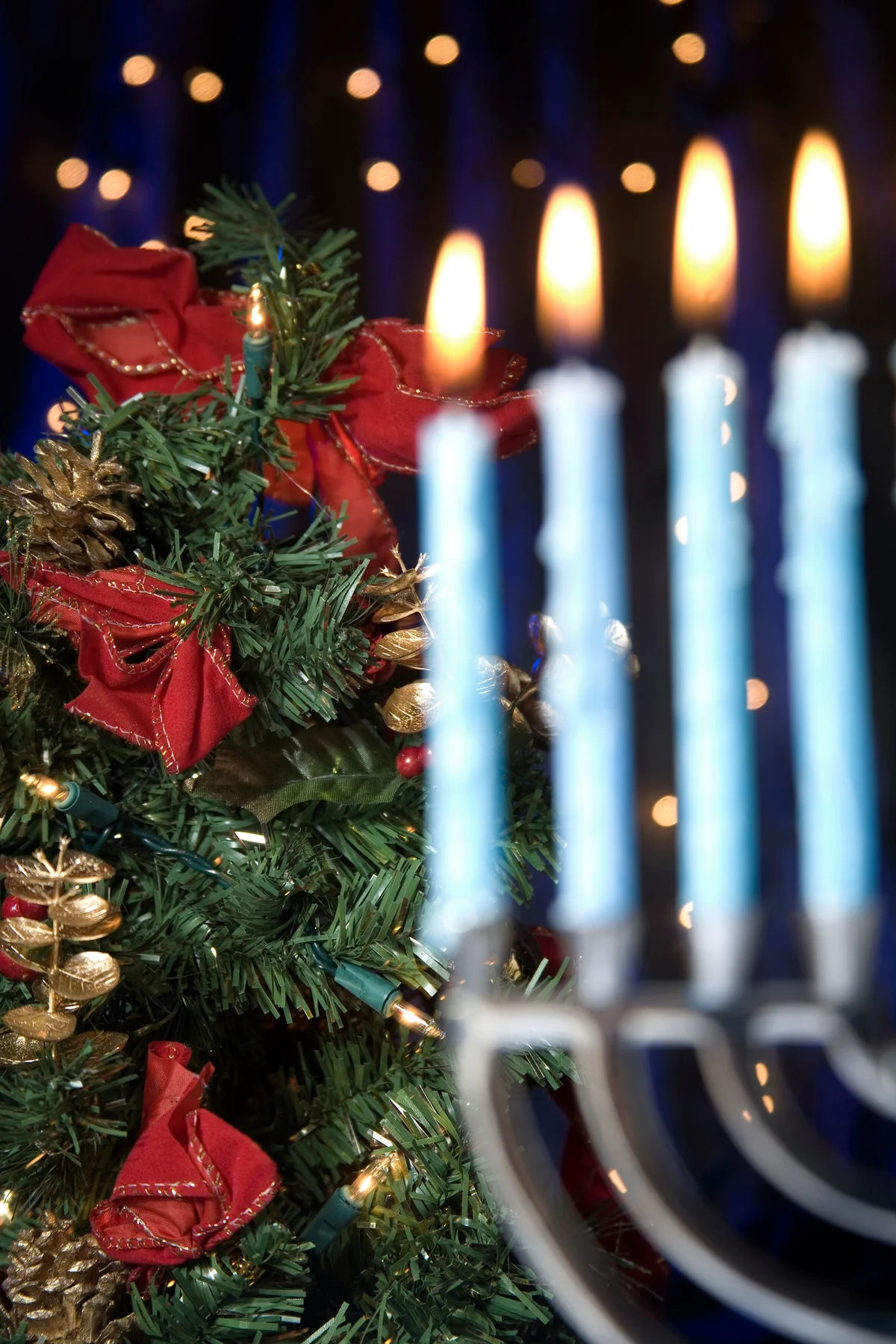 Blurred Hanukkah menorah in front of Christmas pine tree