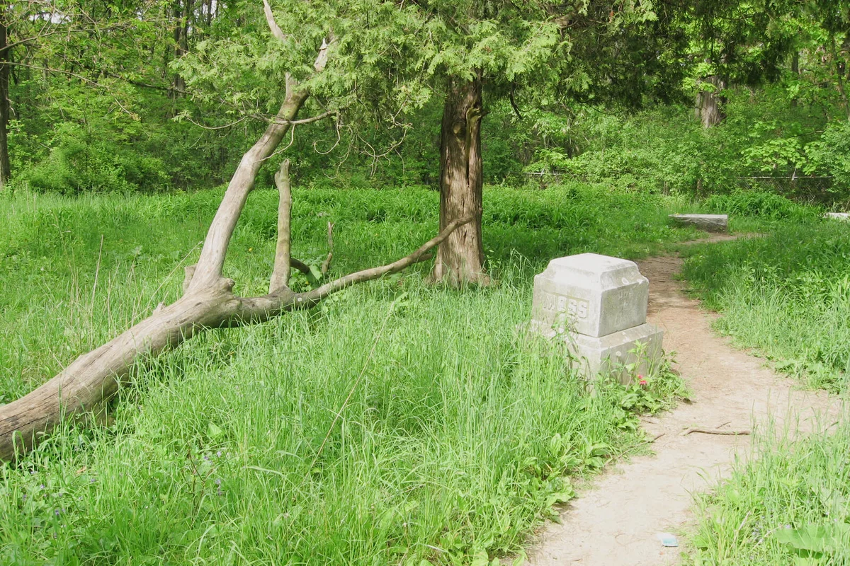 Bachelor's Grove Cemetery