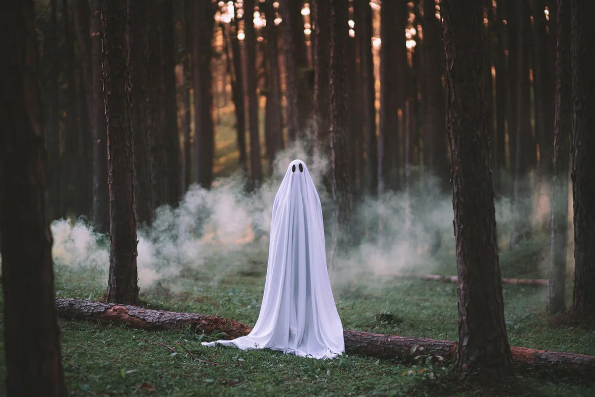 Portrait Of Woman Wearing Ghost Costume In Forest