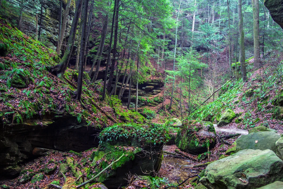 Hollow State Park