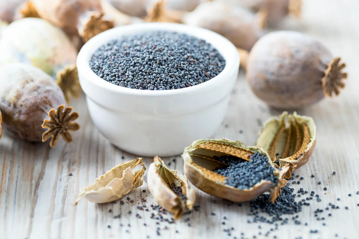 poppy seeds in a bowl on wooden surface