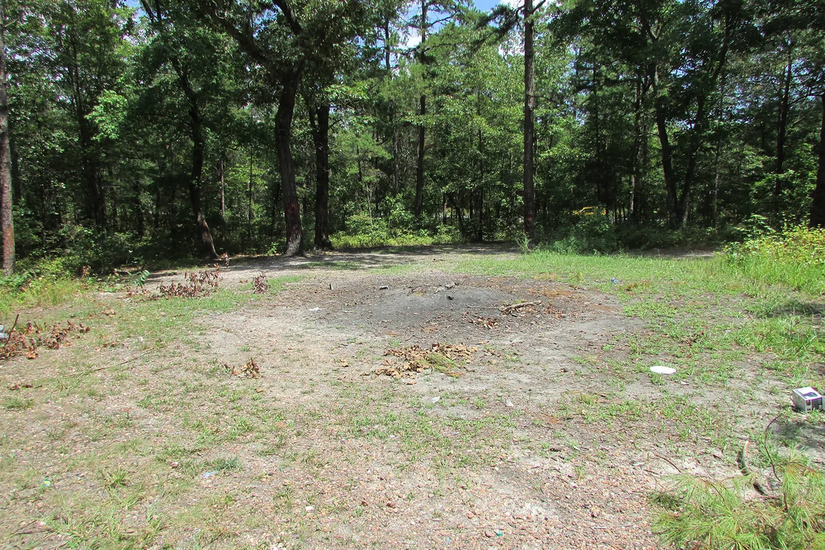 Devil's Tramping Ground, near Siler City, North Carolina
