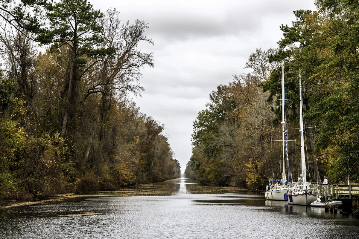Great Dismal Swamp Canal | ID 27748900 © Joseph Morelli | Dreamstime.com