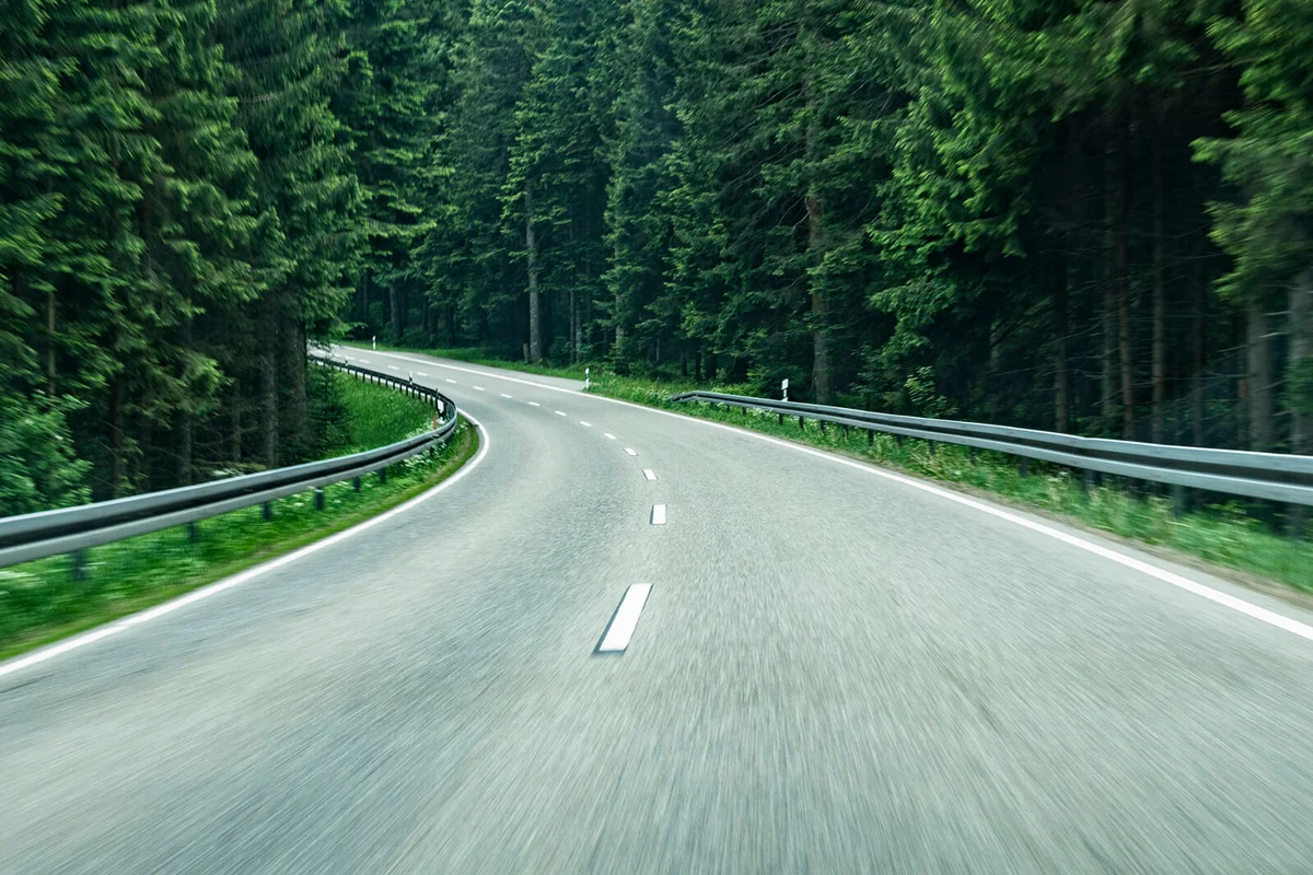 Driving through a forest