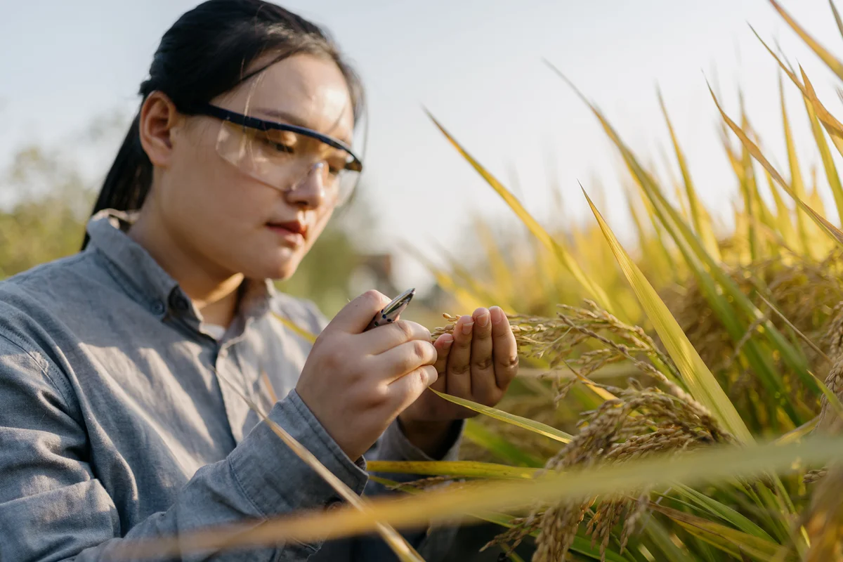 Agricultural Scientist working in farm