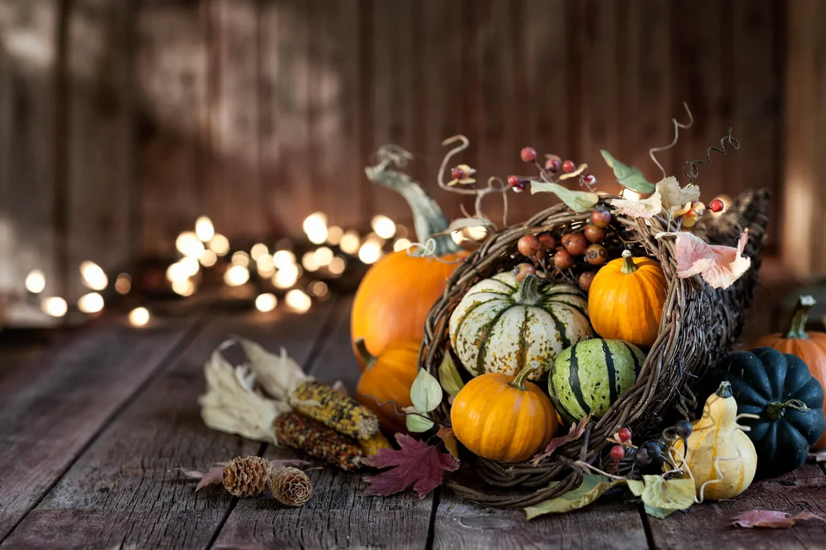 Autumn Thanksgiving Cornucopia on a Wood Background