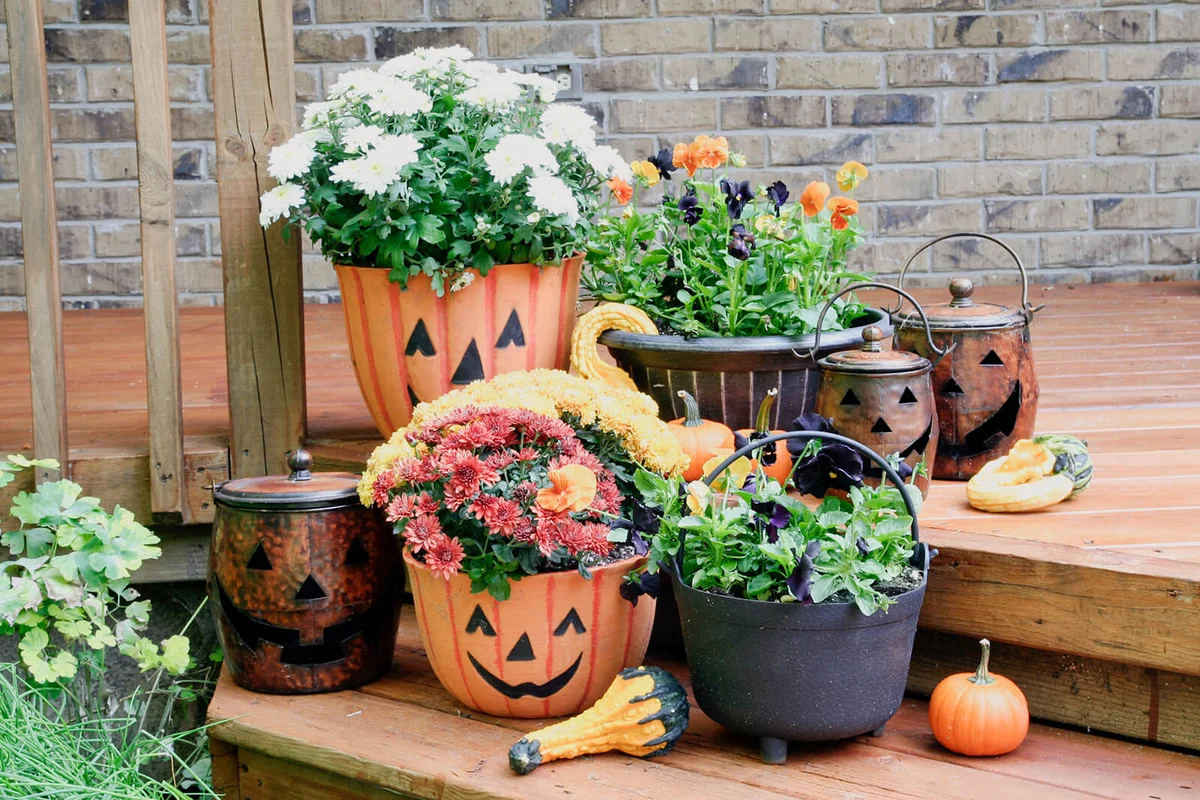 Autumn garden with Flowerpot Pumpkins