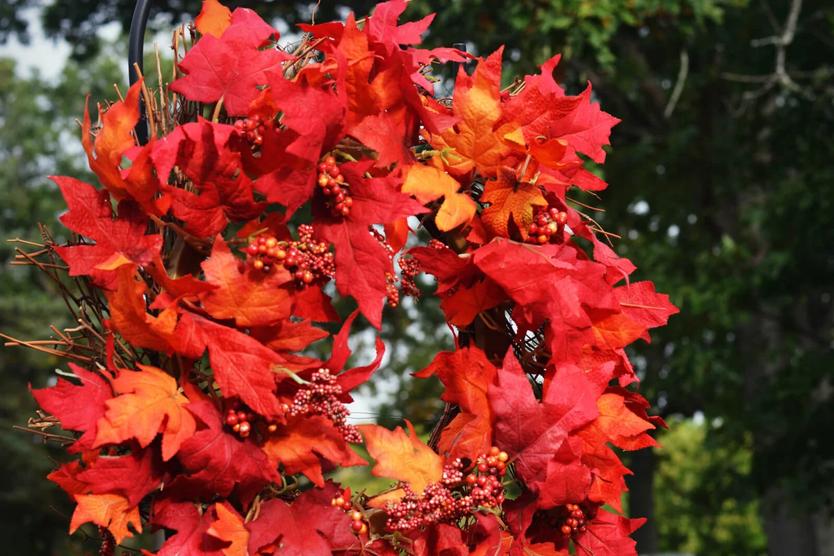 A fall leaf wreath hanging | ID 78427377 © Hannah Babiak | Dreamstime.com