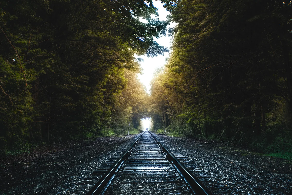 Tree-lined railway tracks