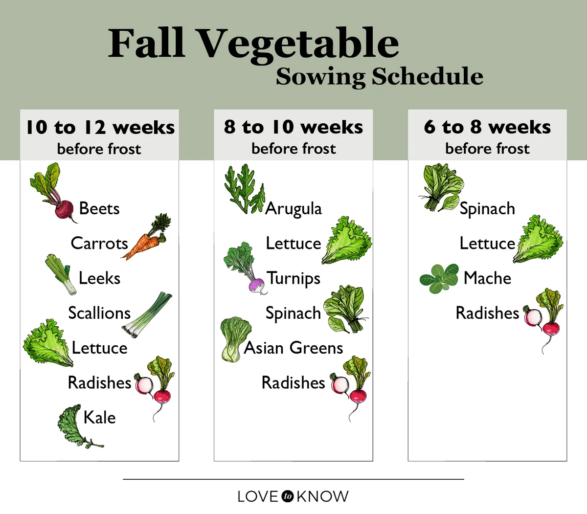 Fall Vegetable Planting Schedule