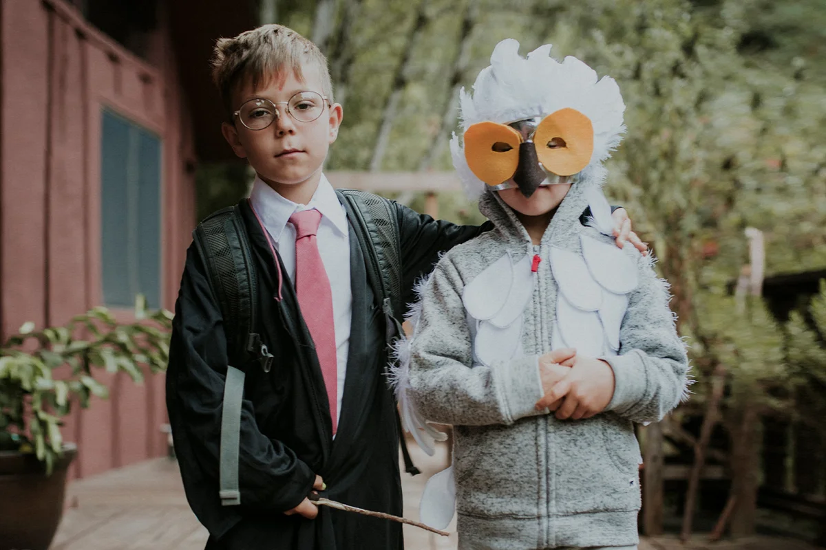Brothers dressed up as Harry Potter and owl on Halloween