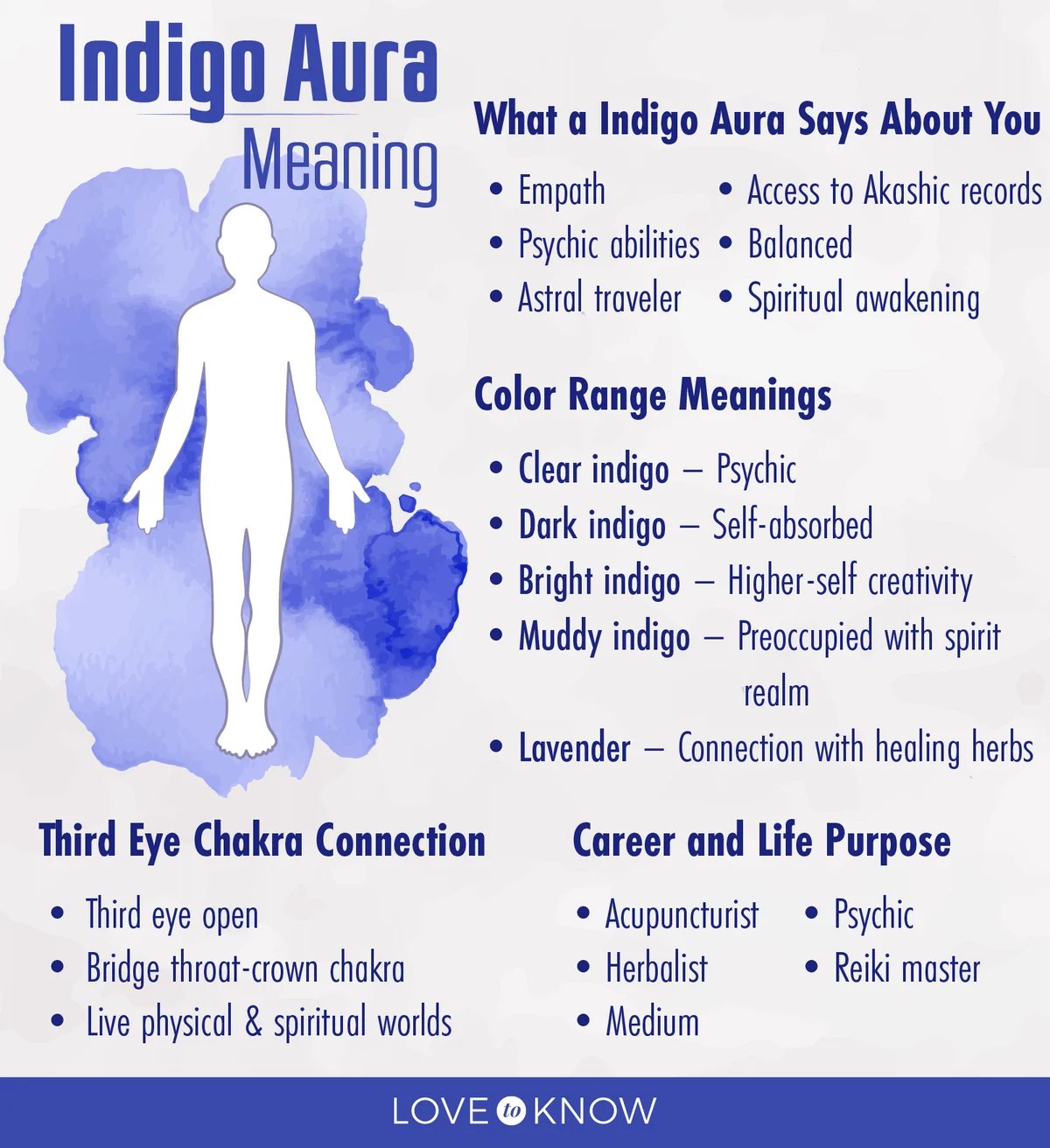 Indigo Aura Meaning Infographic