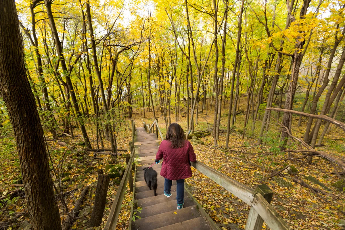 Woman walking dog in High Cliff State Park, Sherwood, Wisconsin, USA