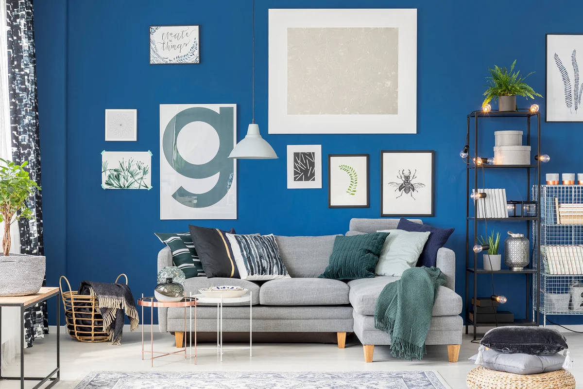 Cozy blue living room