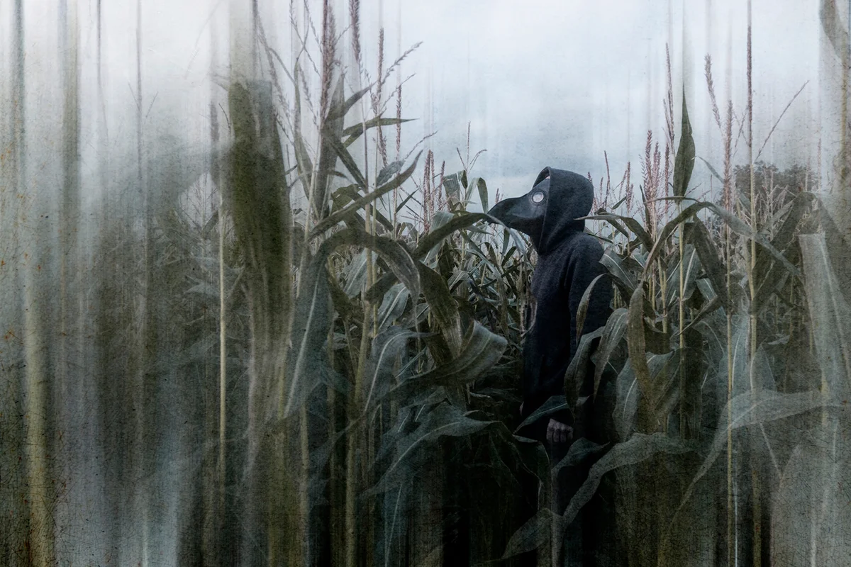 Scary hooded man standing in a field of corn wearing a plague doctor mask looking at the sky