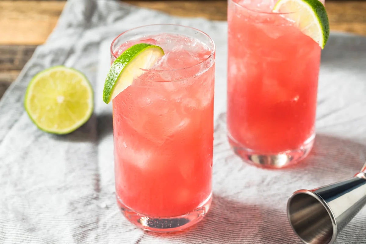 Refreshing Boozy Vodka Bay Breeze Cocktail