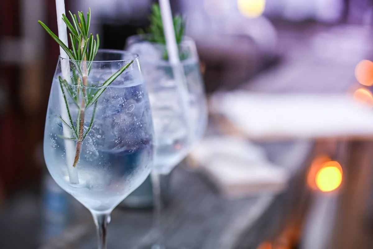 Rosemary gin & tonics