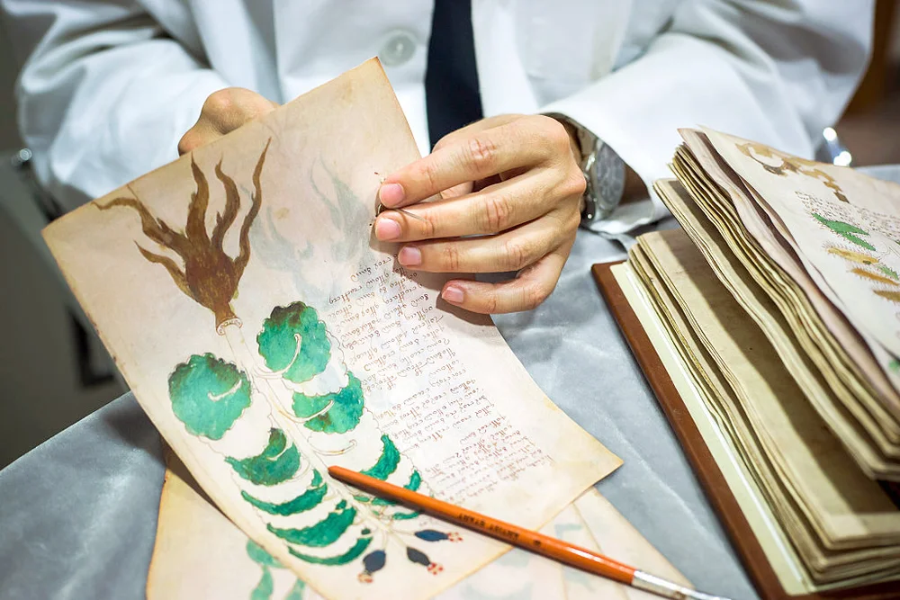 Voynich manuscript