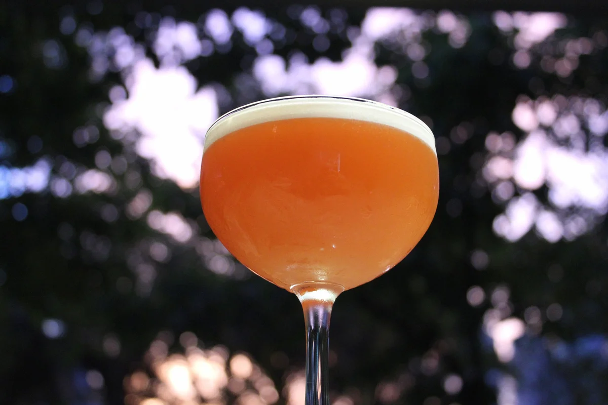 Honeycrisp Apple